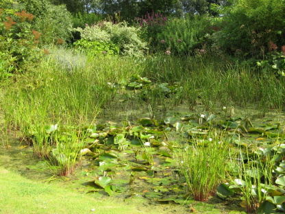 Gärten in England  Old Rectory Sudborough